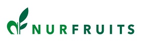 Logo Nurfruits